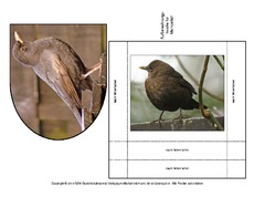 Amsel-Merkzettel-5.pdf